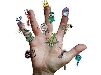 Dirty Hands - source of infection with parasites