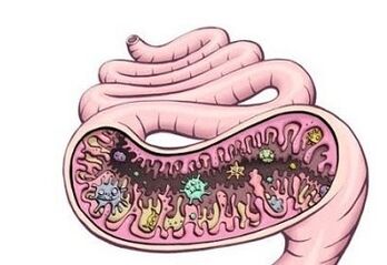 Worms on the stomach